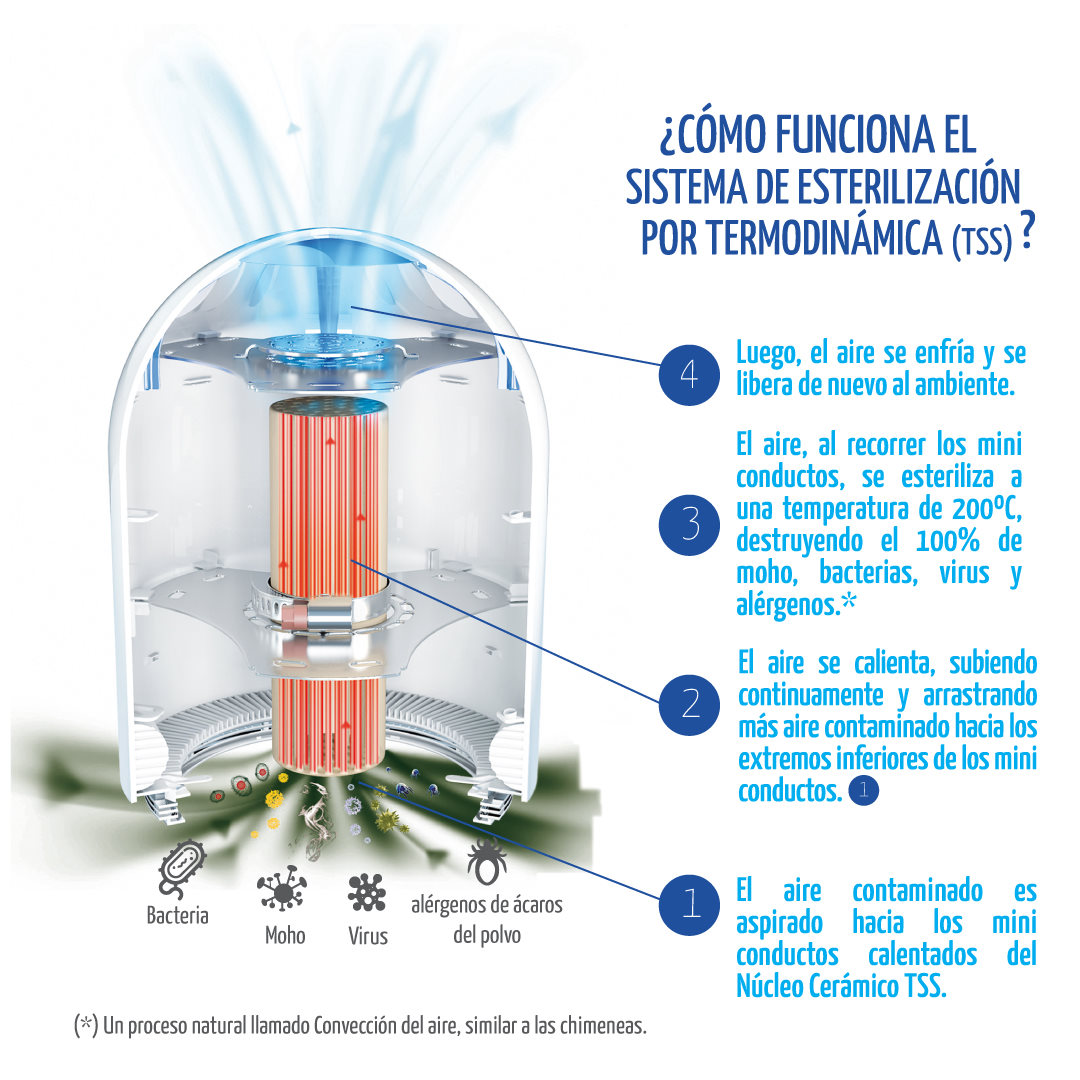 Como funciona el TSS